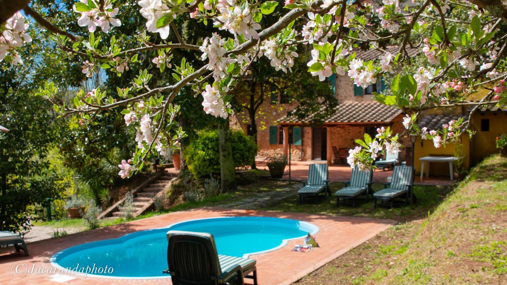 Villa La Pieve Camaiore Buitenkant foto